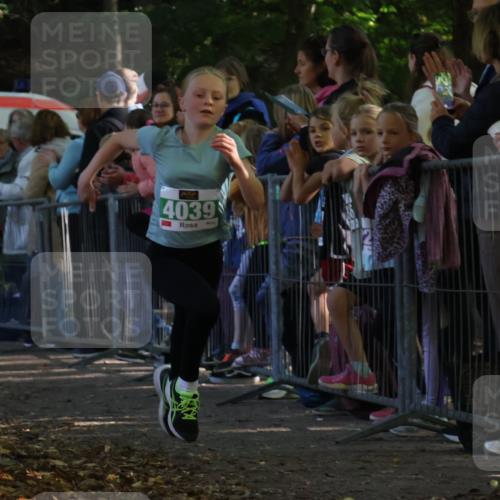28.09.2025 - 33. Volkslauf durch das schöne Alstertal Strokosch-Dieckow http://msf.ph/oto/8961337 28.09.2025 10:53:45 Ziel 4039, 4115 meine-sportfotos.de
