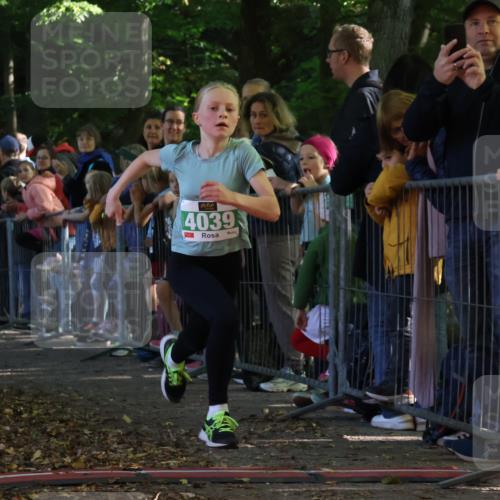 28.09.2025 - 33. Volkslauf durch das schöne Alstertal Strokosch-Dieckow http://msf.ph/oto/8961339 28.09.2025 10:53:46 Ziel 4039, 4115 meine-sportfotos.de