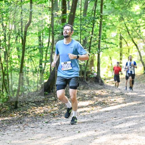 28.09.2025 - 33. Volkslauf durch das schöne Alstertal Dr. Thomas Lammeyer http://msf.ph/oto/8961340 28.09.2025 11:06:57 Laufen 3956 meine-sportfotos.de