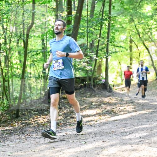 28.09.2025 - 33. Volkslauf durch das schöne Alstertal Dr. Thomas Lammeyer http://msf.ph/oto/8961341 28.09.2025 11:06:57 Laufen 3956 meine-sportfotos.de