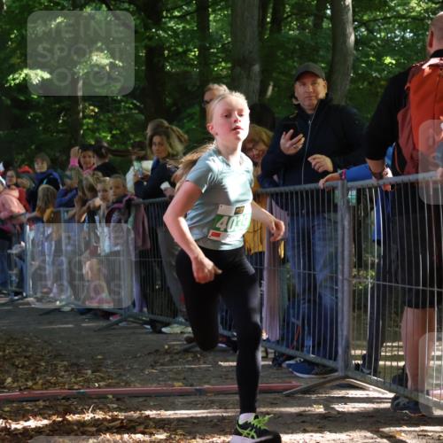 28.09.2025 - 33. Volkslauf durch das schöne Alstertal Strokosch-Dieckow http://msf.ph/oto/8961342 28.09.2025 10:53:46 Ziel 4039, 4115 meine-sportfotos.de