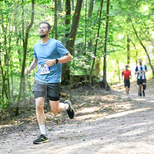 28.09.2025 - 33. Volkslauf durch das schöne Alstertal Dr. Thomas Lammeyer http://msf.ph/oto/8961343 28.09.2025 11:06:57 Laufen 3956 meine-sportfotos.de