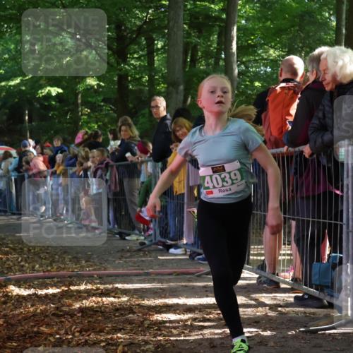 28.09.2025 - 33. Volkslauf durch das schöne Alstertal Strokosch-Dieckow http://msf.ph/oto/8961345 28.09.2025 10:53:47 Ziel 4039, 4115 meine-sportfotos.de