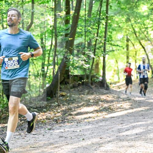 28.09.2025 - 33. Volkslauf durch das schöne Alstertal Dr. Thomas Lammeyer http://msf.ph/oto/8961346 28.09.2025 11:06:58 Laufen 3956 meine-sportfotos.de