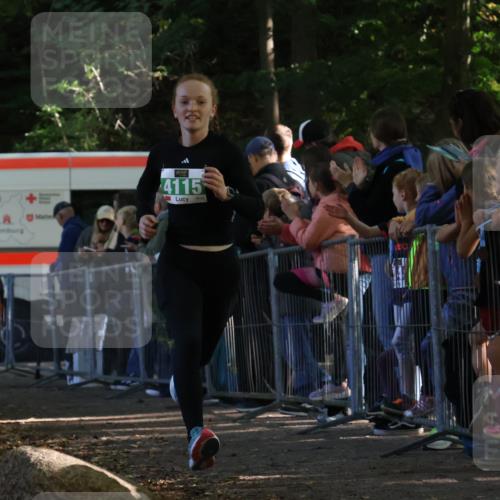 28.09.2025 - 33. Volkslauf durch das schöne Alstertal Strokosch-Dieckow http://msf.ph/oto/8961351 28.09.2025 10:53:51 Ziel 4025, 4115 meine-sportfotos.de
