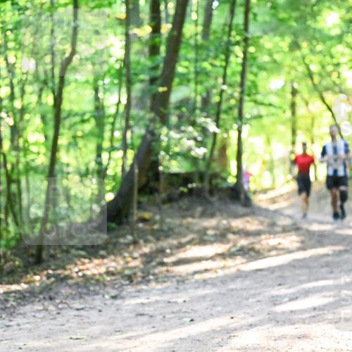 28.09.2025 - 33. Volkslauf durch das schöne Alstertal Dr. Thomas Lammeyer http://msf.ph/oto/8961352 28.09.2025 11:06:58 Laufen  meine-sportfotos.de