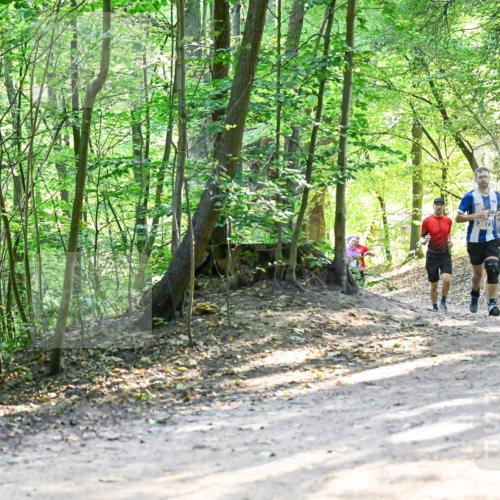 28.09.2025 - 33. Volkslauf durch das schöne Alstertal Dr. Thomas Lammeyer http://msf.ph/oto/8961354 28.09.2025 11:06:58 Laufen 3071 meine-sportfotos.de