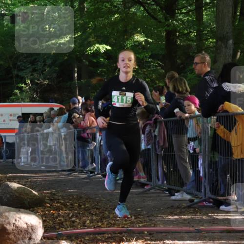28.09.2025 - 33. Volkslauf durch das schöne Alstertal Strokosch-Dieckow http://msf.ph/oto/8961356 28.09.2025 10:53:52 Ziel 4025, 4115 meine-sportfotos.de
