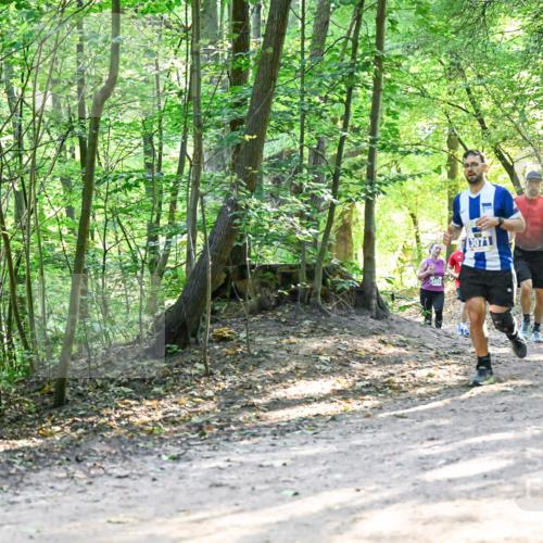 28.09.2025 - 33. Volkslauf durch das schöne Alstertal Dr. Thomas Lammeyer http://msf.ph/oto/8961357 28.09.2025 11:07:00 Laufen 3408, 3071, 3287 meine-sportfotos.de