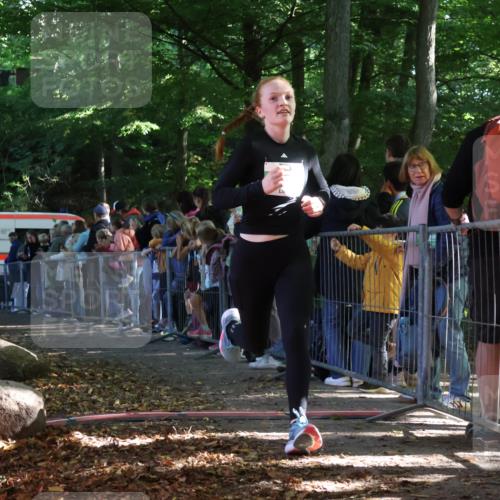 28.09.2025 - 33. Volkslauf durch das schöne Alstertal Strokosch-Dieckow http://msf.ph/oto/8961358 28.09.2025 10:53:52 Ziel 4025, 4115 meine-sportfotos.de