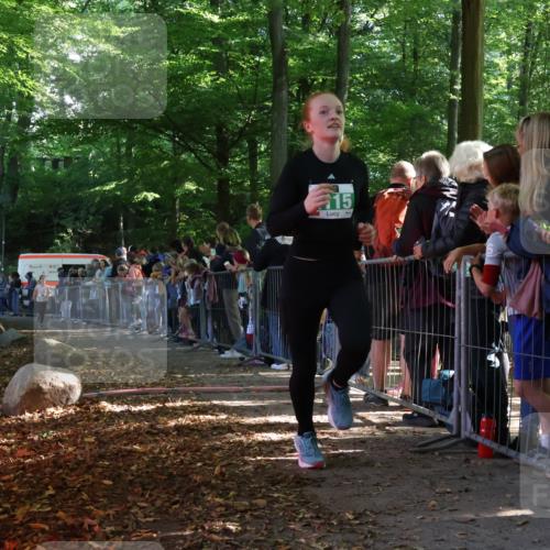 28.09.2025 - 33. Volkslauf durch das schöne Alstertal Strokosch-Dieckow http://msf.ph/oto/8961361 28.09.2025 10:53:53 Ziel 4025, 4115 meine-sportfotos.de