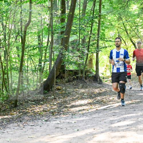 28.09.2025 - 33. Volkslauf durch das schöne Alstertal Dr. Thomas Lammeyer http://msf.ph/oto/8961362 28.09.2025 11:07:00 Laufen 3071, 3287 meine-sportfotos.de