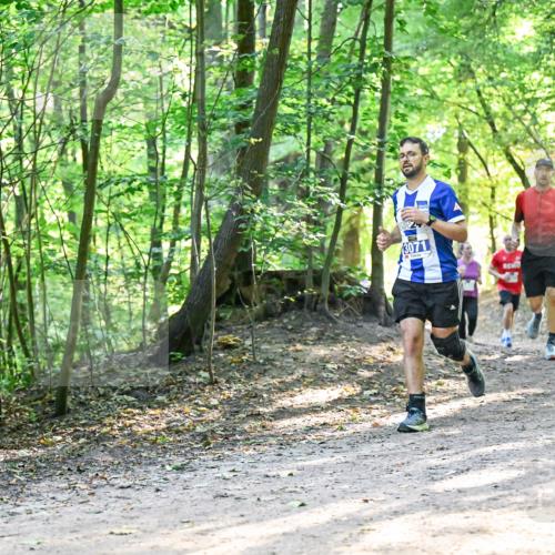 28.09.2025 - 33. Volkslauf durch das schöne Alstertal Dr. Thomas Lammeyer http://msf.ph/oto/8961365 28.09.2025 11:07:01 Laufen 3071, 3287 meine-sportfotos.de