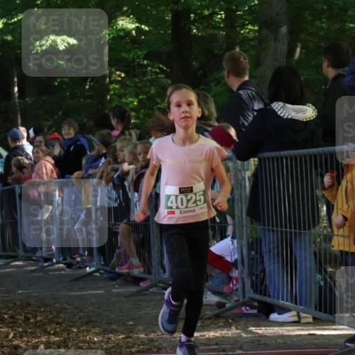 28.09.2025 - 33. Volkslauf durch das schöne Alstertal Strokosch-Dieckow http://msf.ph/oto/8961366 28.09.2025 10:53:57 Ziel 4025 meine-sportfotos.de