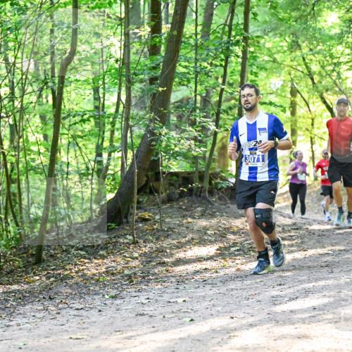 28.09.2025 - 33. Volkslauf durch das schöne Alstertal Dr. Thomas Lammeyer http://msf.ph/oto/8961367 28.09.2025 11:07:01 Laufen 3287, 3071 meine-sportfotos.de
