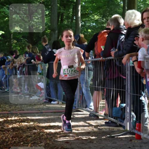 28.09.2025 - 33. Volkslauf durch das schöne Alstertal Strokosch-Dieckow http://msf.ph/oto/8961368 28.09.2025 10:53:58 Ziel 4025 meine-sportfotos.de