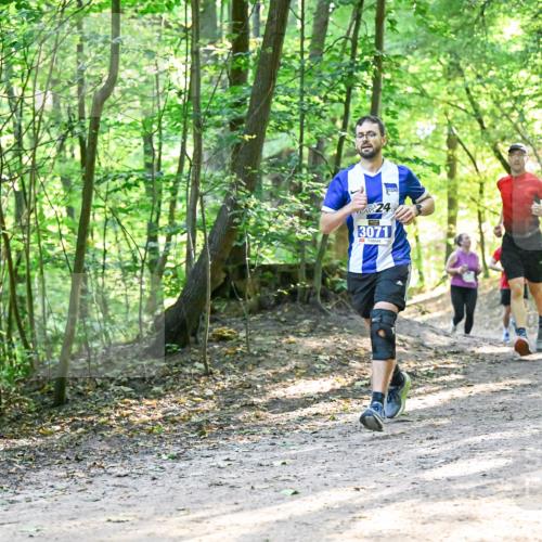 28.09.2025 - 33. Volkslauf durch das schöne Alstertal Dr. Thomas Lammeyer http://msf.ph/oto/8961369 28.09.2025 11:07:01 Laufen 24, 3287, 3071 meine-sportfotos.de