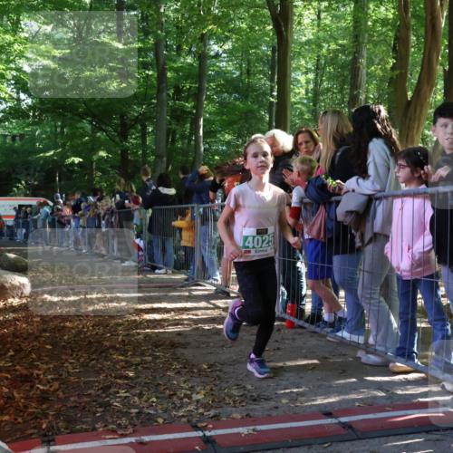 28.09.2025 - 33. Volkslauf durch das schöne Alstertal Strokosch-Dieckow http://msf.ph/oto/8961370 28.09.2025 10:53:58 Ziel 4025 meine-sportfotos.de