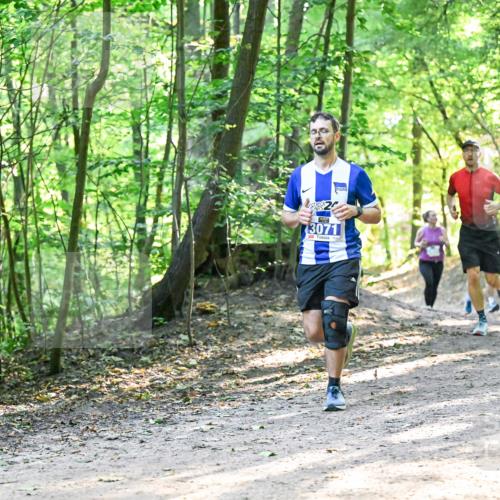 28.09.2025 - 33. Volkslauf durch das schöne Alstertal Dr. Thomas Lammeyer http://msf.ph/oto/8961371 28.09.2025 11:07:01 Laufen 3287, 3071 meine-sportfotos.de