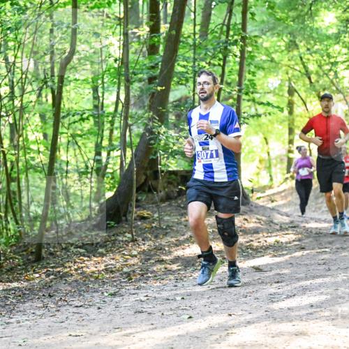 28.09.2025 - 33. Volkslauf durch das schöne Alstertal Dr. Thomas Lammeyer http://msf.ph/oto/8961373 28.09.2025 11:07:01 Laufen 24, 3071 meine-sportfotos.de