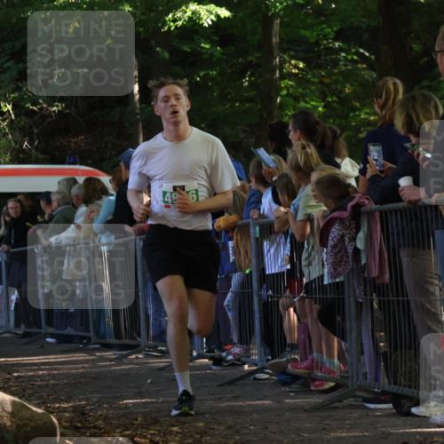 28.09.2025 - 33. Volkslauf durch das schöne Alstertal Strokosch-Dieckow http://msf.ph/oto/8961391 28.09.2025 10:54:18 Ziel 4916 meine-sportfotos.de