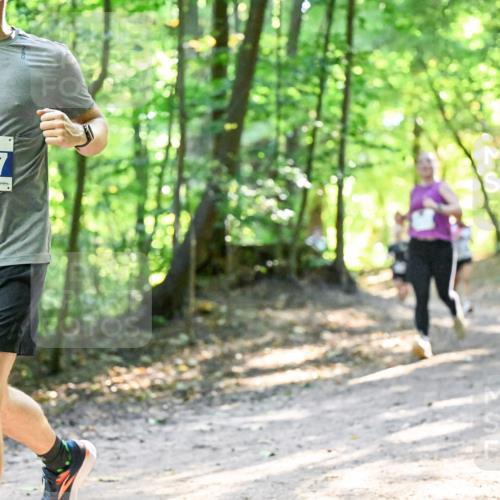 28.09.2025 - 33. Volkslauf durch das schöne Alstertal Dr. Thomas Lammeyer http://msf.ph/oto/8961410 28.09.2025 11:07:05 Laufen 3287 meine-sportfotos.de
