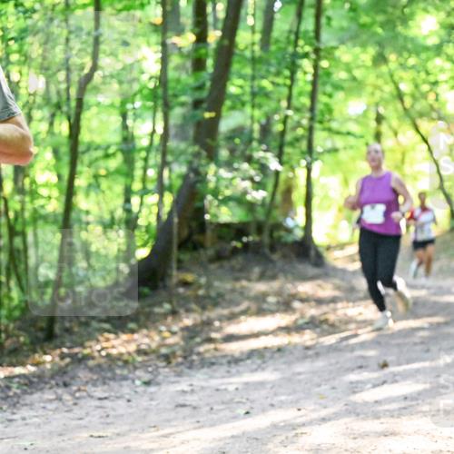 28.09.2025 - 33. Volkslauf durch das schöne Alstertal Dr. Thomas Lammeyer http://msf.ph/oto/8961412 28.09.2025 11:07:05 Laufen 287 meine-sportfotos.de