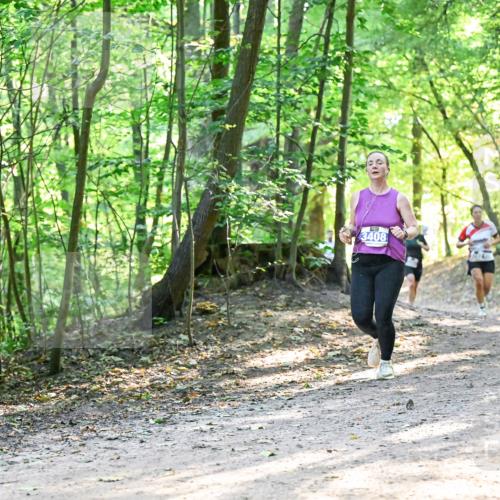28.09.2025 - 33. Volkslauf durch das schöne Alstertal Dr. Thomas Lammeyer http://msf.ph/oto/8961413 28.09.2025 11:07:05 Laufen 3408, 3929 meine-sportfotos.de
