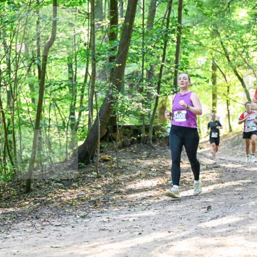 28.09.2025 - 33. Volkslauf durch das schöne Alstertal Dr. Thomas Lammeyer http://msf.ph/oto/8961415 28.09.2025 11:07:05 Laufen 3408, 12024, 3929 meine-sportfotos.de