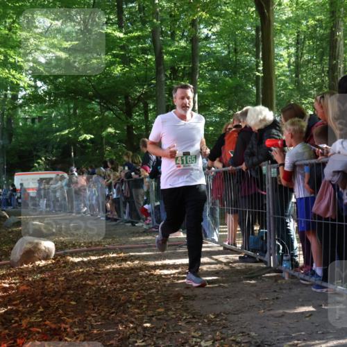 28.09.2025 - 33. Volkslauf durch das schöne Alstertal Strokosch-Dieckow http://msf.ph/oto/8961416 28.09.2025 10:54:39 Ziel 4165 meine-sportfotos.de