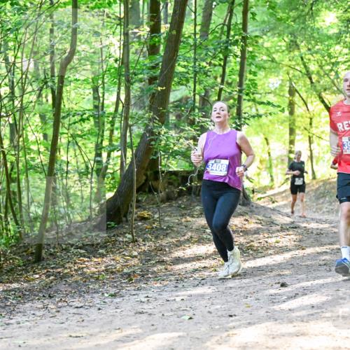28.09.2025 - 33. Volkslauf durch das schöne Alstertal Dr. Thomas Lammeyer http://msf.ph/oto/8961419 28.09.2025 11:07:06 Laufen 3408, 3929 meine-sportfotos.de