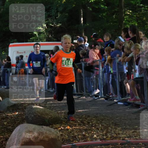 28.09.2025 - 33. Volkslauf durch das schöne Alstertal Strokosch-Dieckow http://msf.ph/oto/8961422 28.09.2025 10:54:48 Ziel 4034, 4035, 4038, 4147, 4157 meine-sportfotos.de