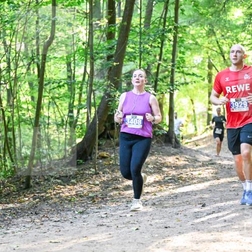 28.09.2025 - 33. Volkslauf durch das schöne Alstertal Dr. Thomas Lammeyer http://msf.ph/oto/8961423 28.09.2025 11:07:06 Laufen 3408, 3929 meine-sportfotos.de
