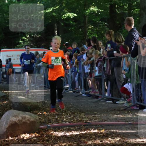 28.09.2025 - 33. Volkslauf durch das schöne Alstertal Strokosch-Dieckow http://msf.ph/oto/8961425 28.09.2025 10:54:48 Ziel 4034, 4035, 4038, 4147, 4157 meine-sportfotos.de