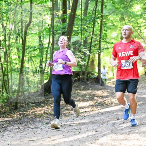 28.09.2025 - 33. Volkslauf durch das schöne Alstertal Dr. Thomas Lammeyer http://msf.ph/oto/8961426 28.09.2025 11:07:06 Laufen 3408, 3929 meine-sportfotos.de