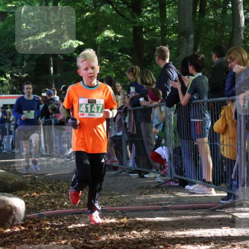 28.09.2025 - 33. Volkslauf durch das schöne Alstertal Strokosch-Dieckow http://msf.ph/oto/8961427 28.09.2025 10:54:49 Ziel 4034, 4035, 4038, 4147, 4155, 4157 meine-sportfotos.de