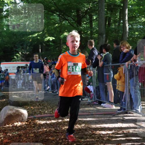 28.09.2025 - 33. Volkslauf durch das schöne Alstertal Strokosch-Dieckow http://msf.ph/oto/8961430 28.09.2025 10:54:50 Ziel 4034, 4035, 4038, 4147, 4155, 4157 meine-sportfotos.de
