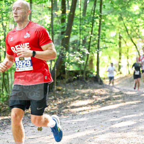 28.09.2025 - 33. Volkslauf durch das schöne Alstertal Dr. Thomas Lammeyer http://msf.ph/oto/8961434 28.09.2025 11:07:07 Laufen 3929 meine-sportfotos.de