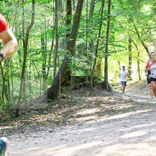 28.09.2025 - 33. Volkslauf durch das schöne Alstertal Dr. Thomas Lammeyer http://msf.ph/oto/8961436 28.09.2025 11:07:07 Laufen 29, 202 meine-sportfotos.de