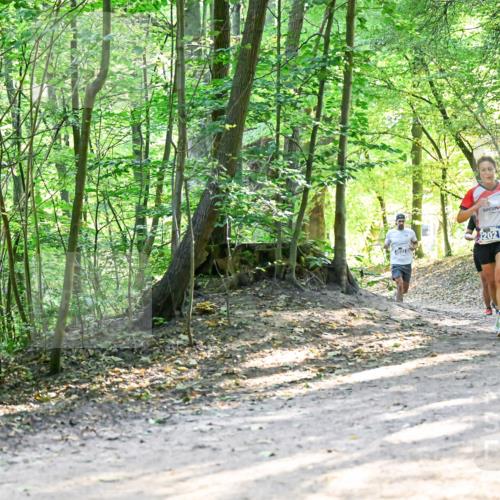28.09.2025 - 33. Volkslauf durch das schöne Alstertal Dr. Thomas Lammeyer http://msf.ph/oto/8961438 28.09.2025 11:07:08 Laufen 3202 meine-sportfotos.de