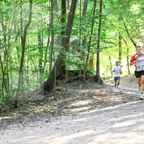28.09.2025 - 33. Volkslauf durch das schöne Alstertal Dr. Thomas Lammeyer http://msf.ph/oto/8961440 28.09.2025 11:07:08 Laufen 3202 meine-sportfotos.de