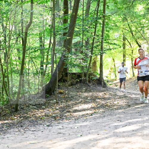 28.09.2025 - 33. Volkslauf durch das schöne Alstertal Dr. Thomas Lammeyer http://msf.ph/oto/8961441 28.09.2025 11:07:08 Laufen 3202 meine-sportfotos.de