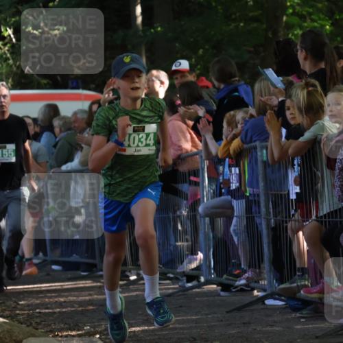 28.09.2025 - 33. Volkslauf durch das schöne Alstertal Strokosch-Dieckow http://msf.ph/oto/8961442 28.09.2025 10:54:53 Ziel 4034, 4035, 4038, 4155, 4157, 4188 meine-sportfotos.de