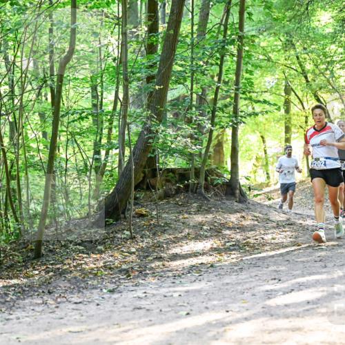 28.09.2025 - 33. Volkslauf durch das schöne Alstertal Dr. Thomas Lammeyer http://msf.ph/oto/8961443 28.09.2025 11:07:08 Laufen 3202 meine-sportfotos.de