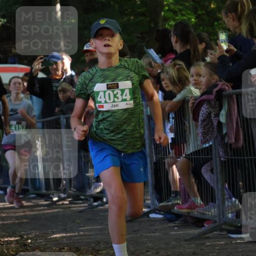 28.09.2025 - 33. Volkslauf durch das schöne Alstertal Strokosch-Dieckow http://msf.ph/oto/8961444 28.09.2025 10:54:53 Ziel 4034, 4035, 4038, 4155, 4157, 4188 meine-sportfotos.de