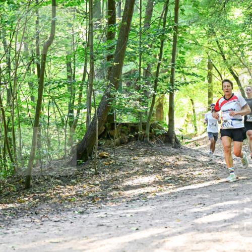 28.09.2025 - 33. Volkslauf durch das schöne Alstertal Dr. Thomas Lammeyer http://msf.ph/oto/8961445 28.09.2025 11:07:08 Laufen 202, 3351 meine-sportfotos.de