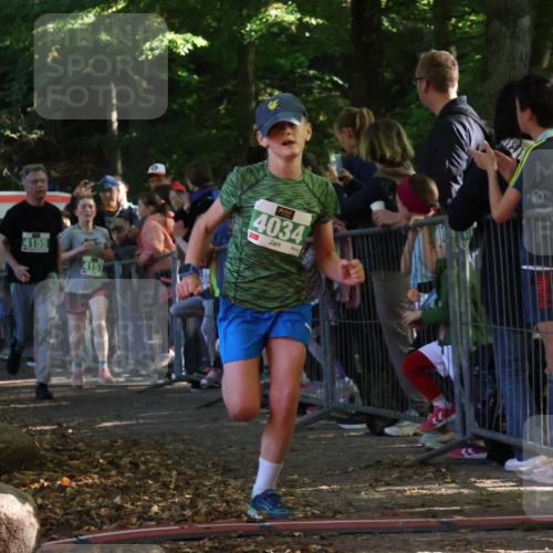 28.09.2025 - 33. Volkslauf durch das schöne Alstertal Strokosch-Dieckow http://msf.ph/oto/8961446 28.09.2025 10:54:54 Ziel 4034, 4035, 4047, 4155, 4157, 4188 meine-sportfotos.de