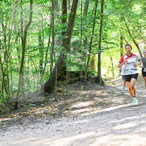 28.09.2025 - 33. Volkslauf durch das schöne Alstertal Dr. Thomas Lammeyer http://msf.ph/oto/8961447 28.09.2025 11:07:08 Laufen 3202, 3351 meine-sportfotos.de
