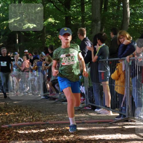 28.09.2025 - 33. Volkslauf durch das schöne Alstertal Strokosch-Dieckow http://msf.ph/oto/8961448 28.09.2025 10:54:54 Ziel 4034, 4035, 4047, 4155, 4157, 4188 meine-sportfotos.de