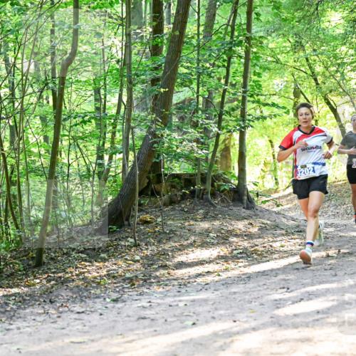 28.09.2025 - 33. Volkslauf durch das schöne Alstertal Dr. Thomas Lammeyer http://msf.ph/oto/8961449 28.09.2025 11:07:08 Laufen 3202, 3351 meine-sportfotos.de